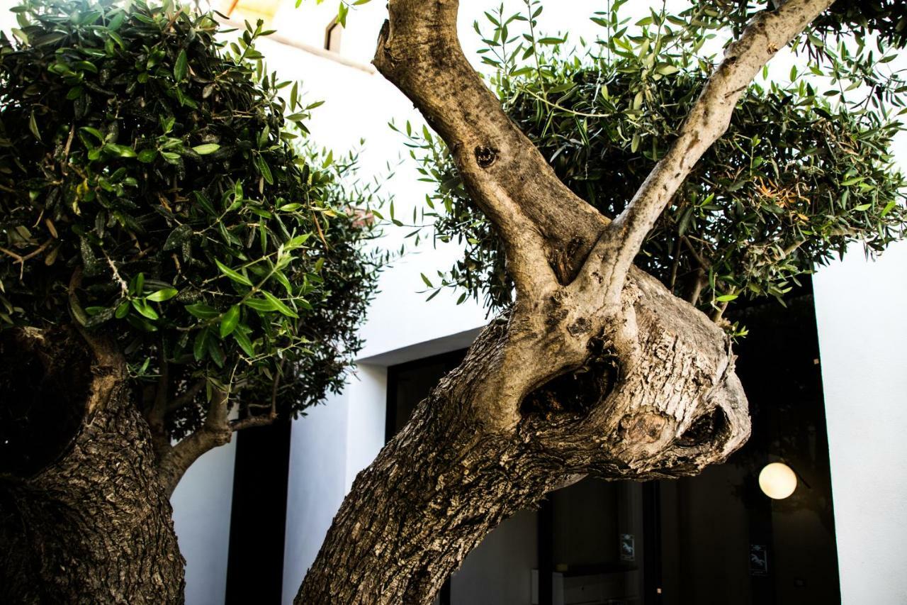 Resort Diodorus Luxury Experience Favara