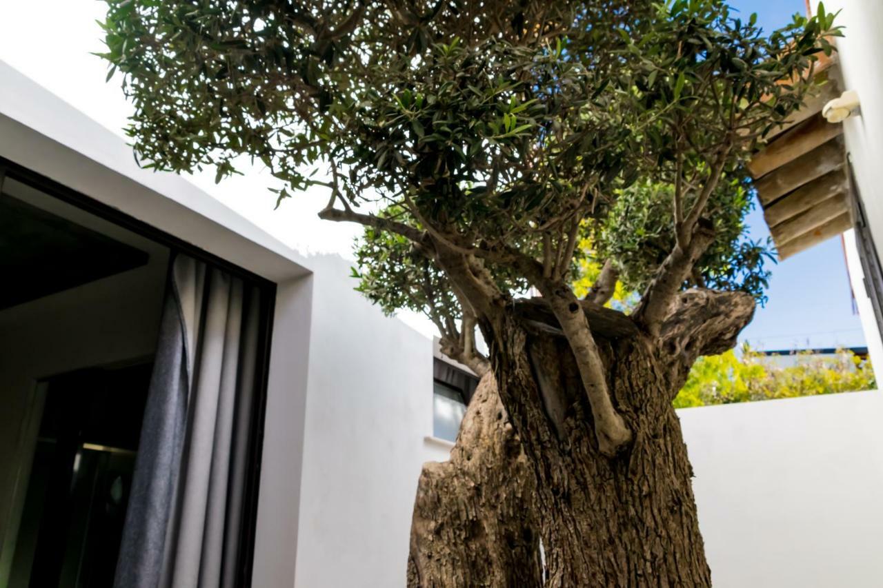 Diodorus Luxury Experience 3* Favara
